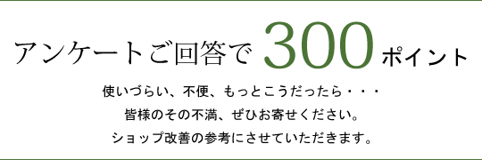 アンケートへのご回答で300ポイント