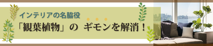 インテリアの名脇役「観葉植物」のギモンを解消！！