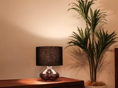 照明1