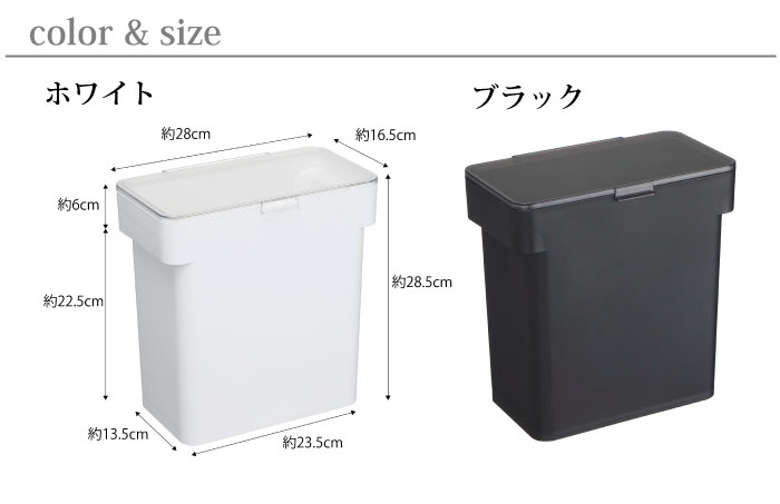 カラーとサイズ