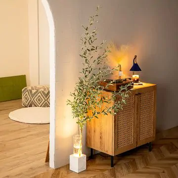 ルミナストーンフロアライト｜植物と光を愉しむ高級間接照明 | インテリアコーディネート